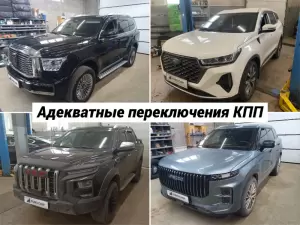 Фотография Евро Чип Тюнинг  1